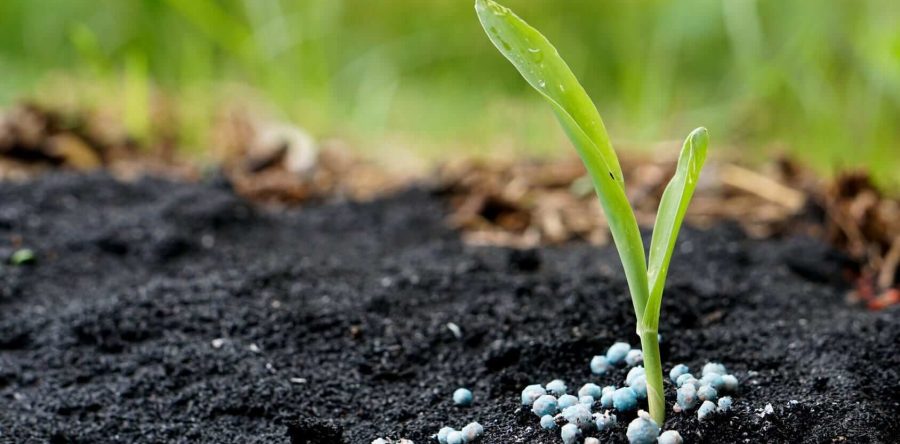 Top Industries Utilizing Ammonia Scrubbers for Emission Control